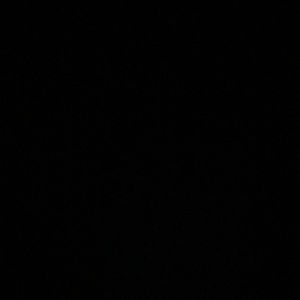 Meet your Posher, Elsa